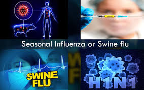 dirtyindiannews/swine flu