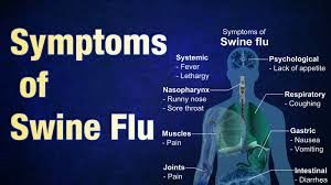 dirtyindiannews/swine flu