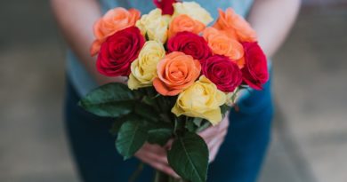 Best Reasons to Give Flowers as a Gift